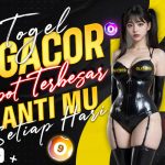 olxtoto